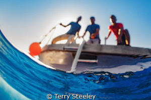 The world a fish sees...
— Subal underwater housing, Zen... by Terry Steeley 